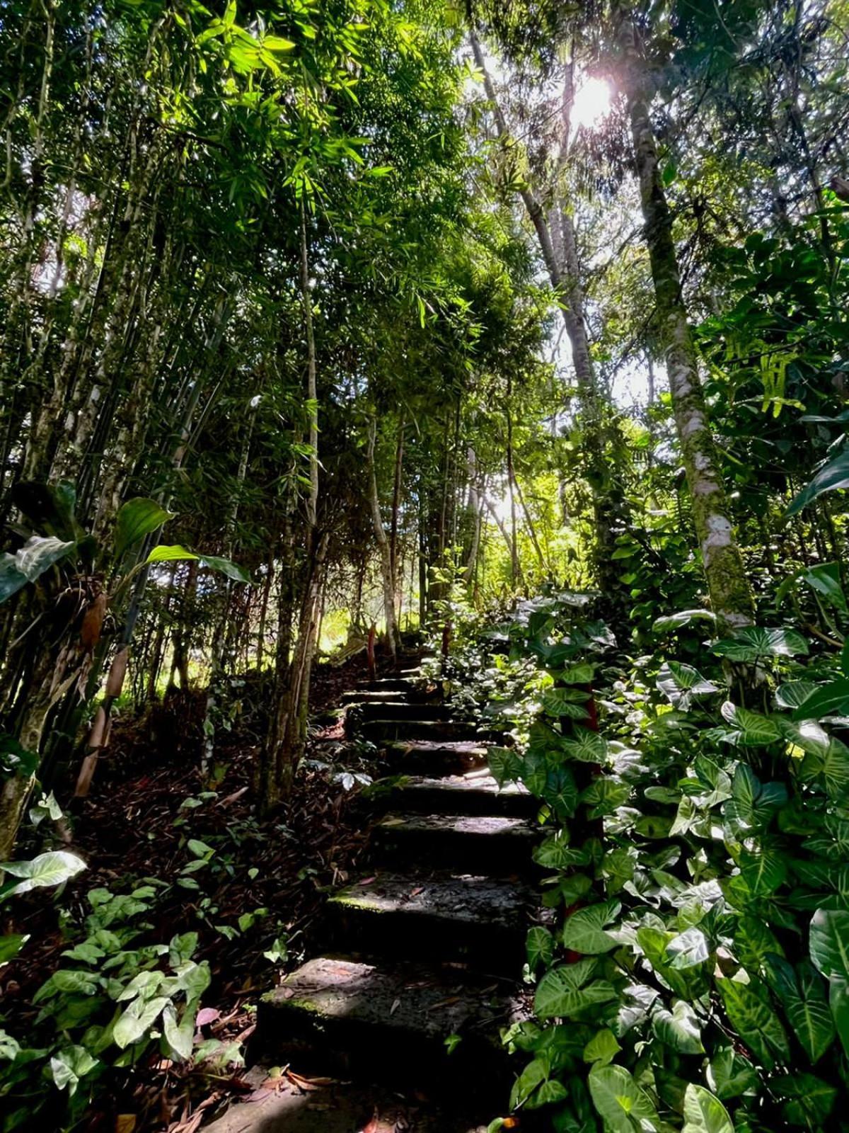 Refugio de Orquídeas Vila Oxapampa Exterior foto