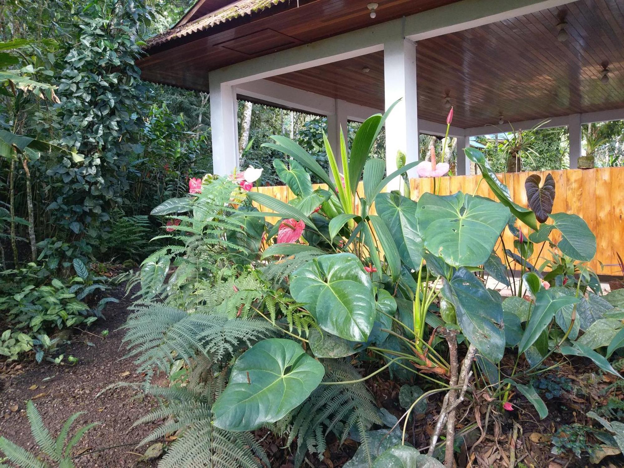 Refugio de Orquídeas Vila Oxapampa Exterior foto