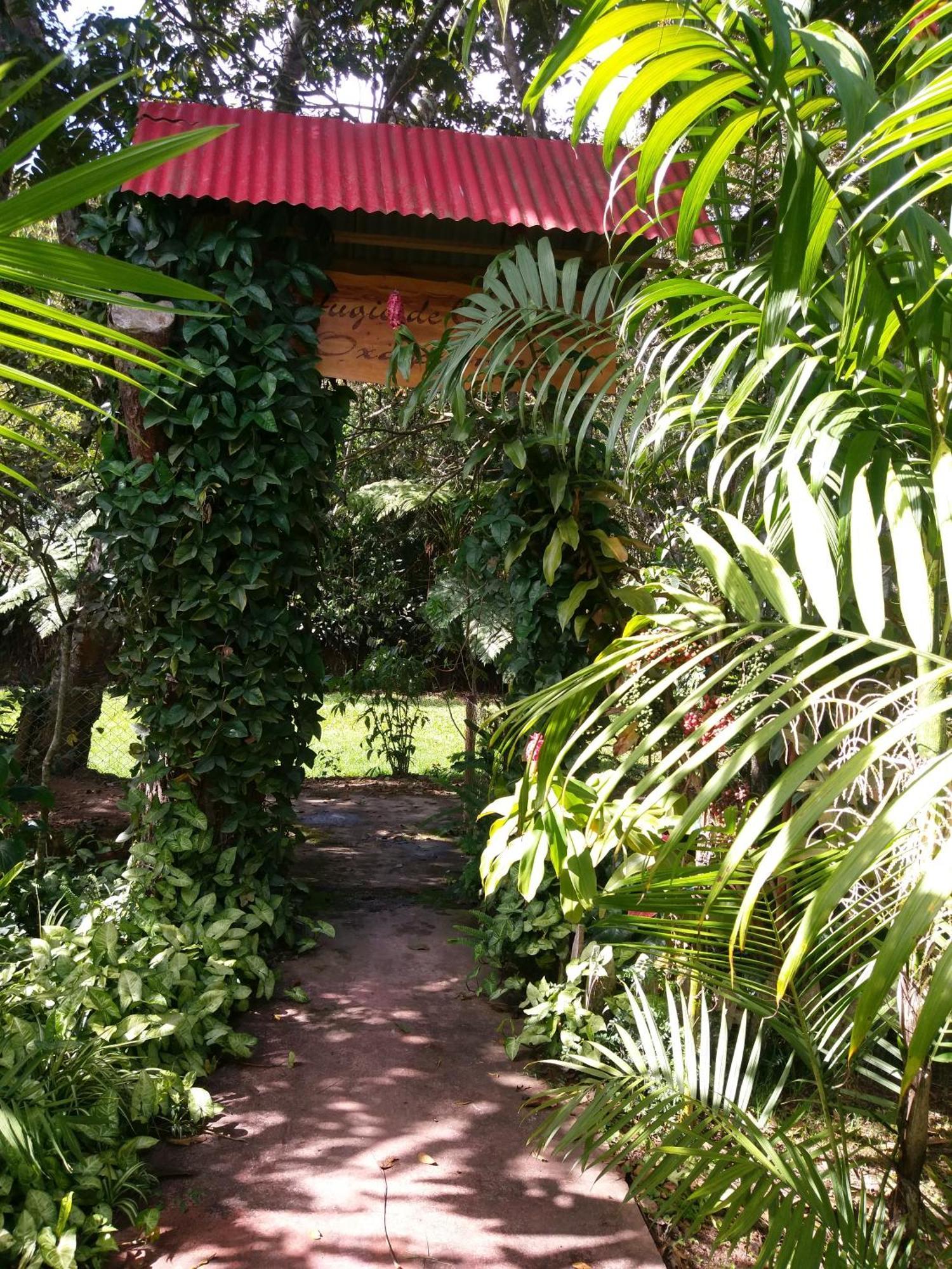 Refugio de Orquídeas Vila Oxapampa Exterior foto