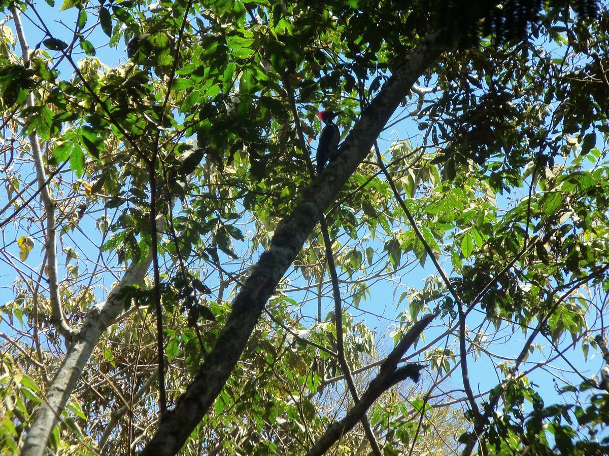 Refugio de Orquídeas Vila Oxapampa Exterior foto