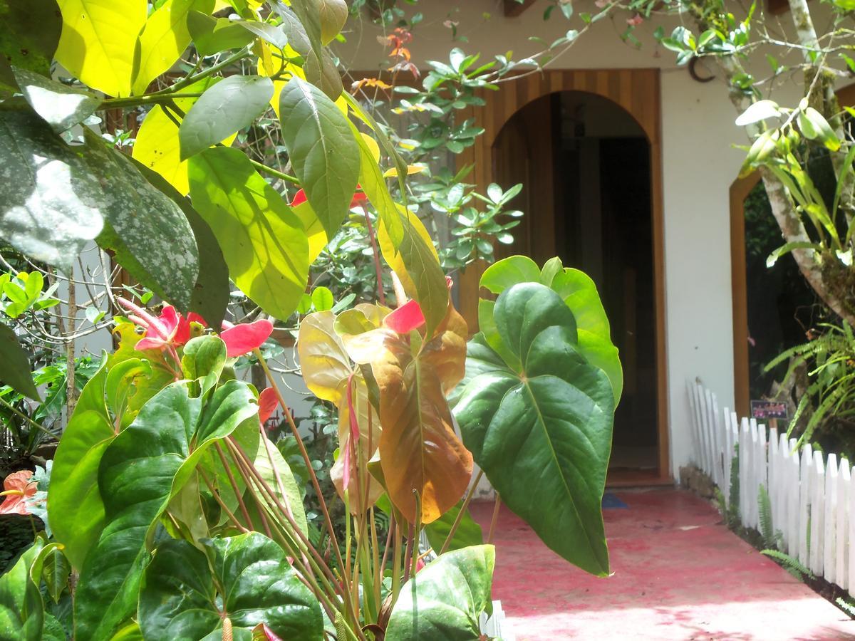 Refugio de Orquídeas Vila Oxapampa Exterior foto