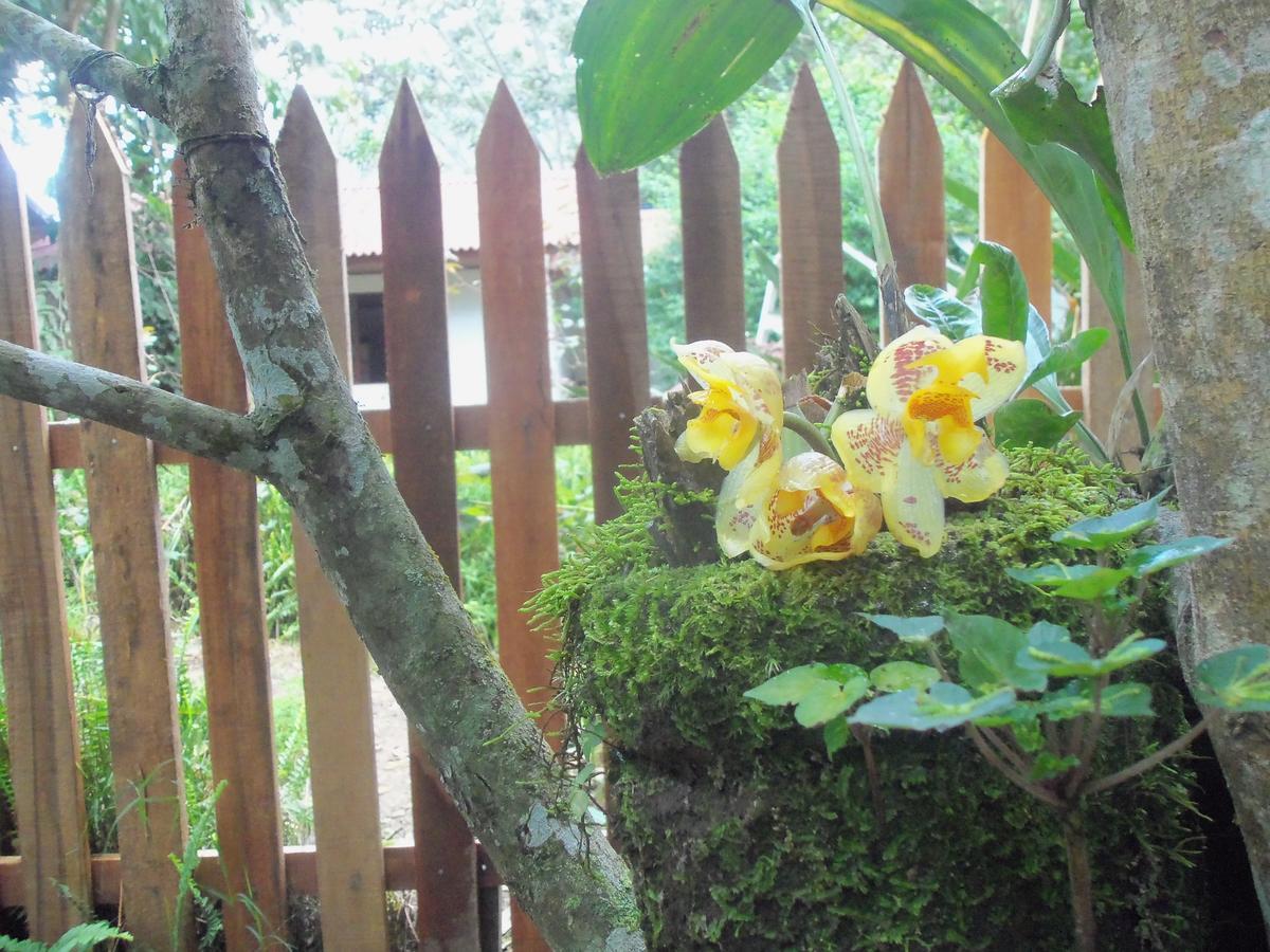 Refugio de Orquídeas Vila Oxapampa Exterior foto